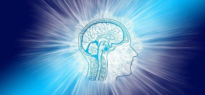 Intelligence, Brain, Think, Intelligent, Communication