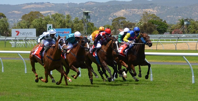 horse racing 358907 640