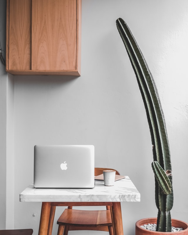 stefen tan 7k0XA GLdbQ unsplash