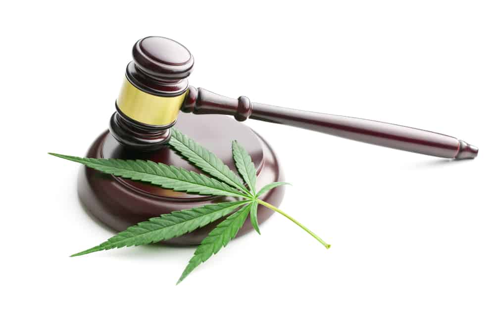 What Will Happen If People Choose To Celebrate 420 Marijuana Event In Winnipeg Before It Is Legal? 7 MARCH 40 Winnipeg Marijuana Laws What Will Happen If People Choose To Celebrate 420 Pot Event In Winnipeg Before It Is Legal