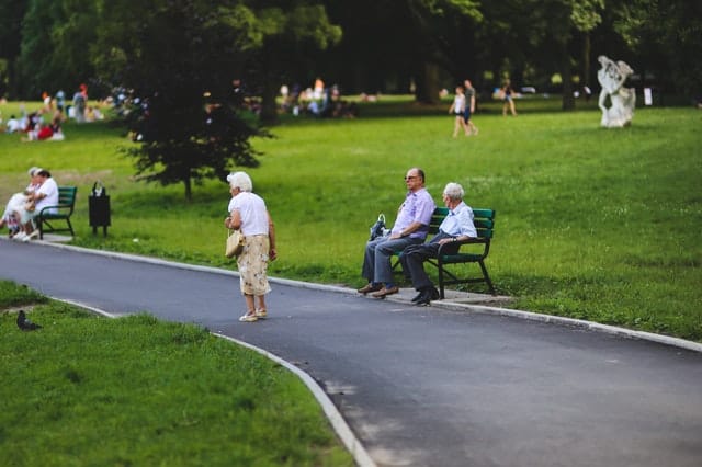 Bench Man People Woman